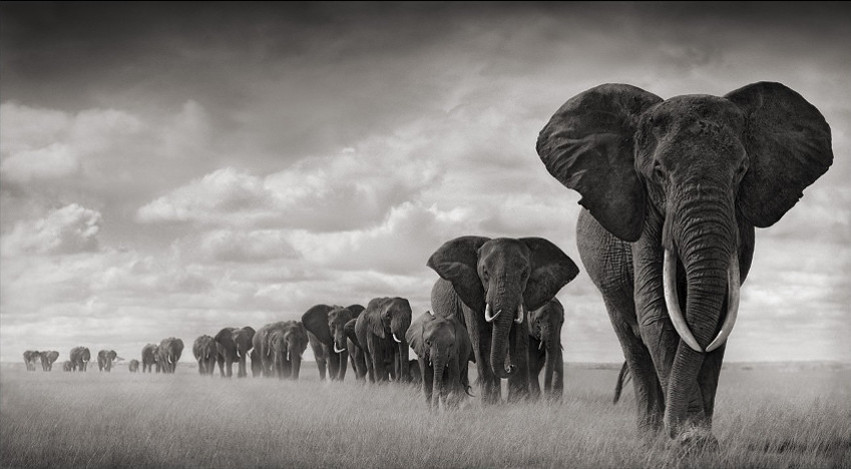 Sebastiao-Salgado-from-Amazonas-Images-Series