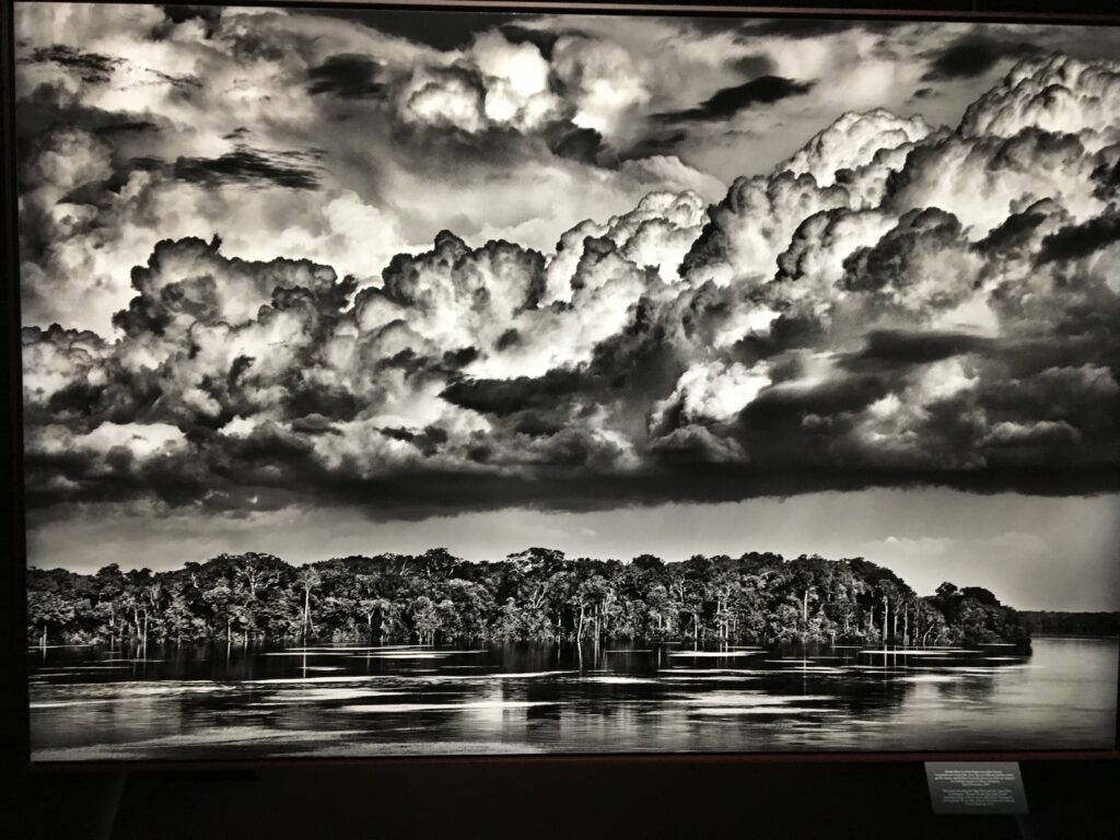 AMAZÔNIA, Sebastião Salgado