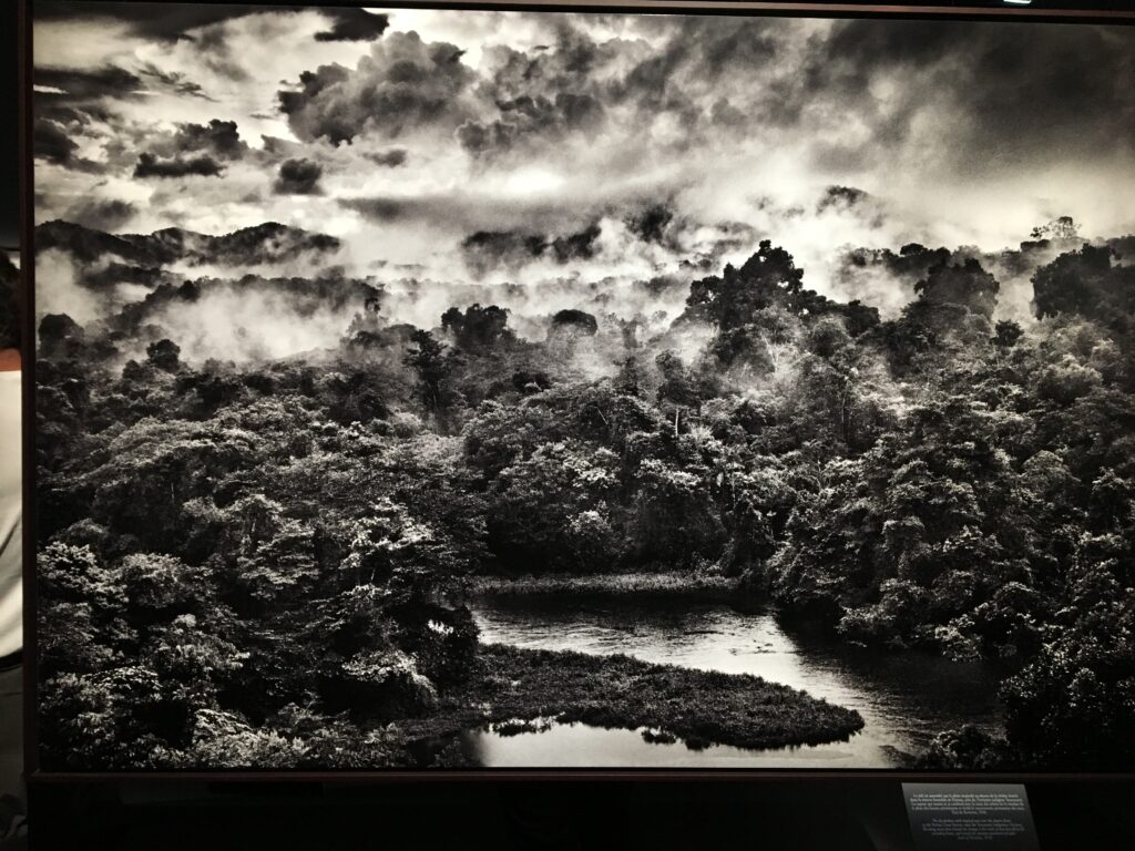 AMAZÔNIA, Sebastião Salgado