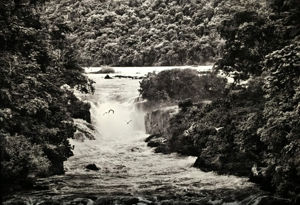 AMAZÔNIA, Sebastião Salgado