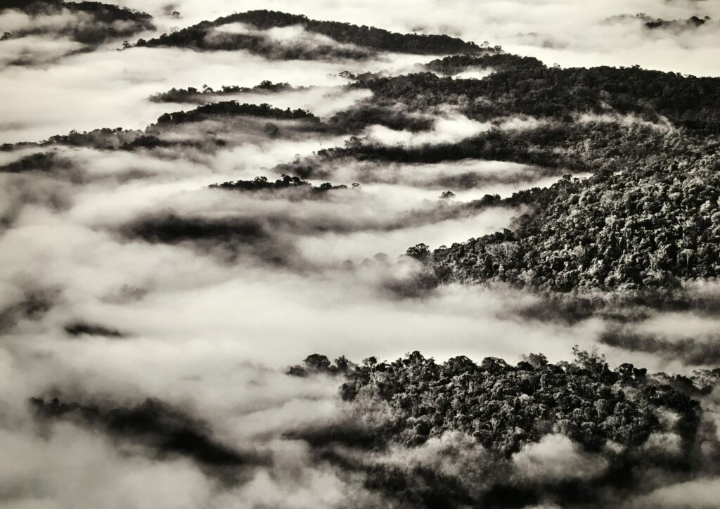 AMAZÔNIA, Sebastião Salgado