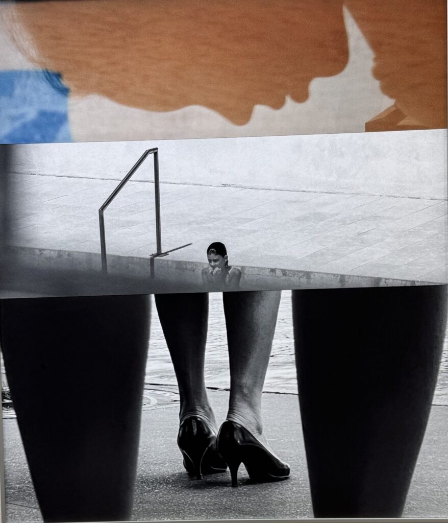 Sarah Van Rij. Atlas des Echos