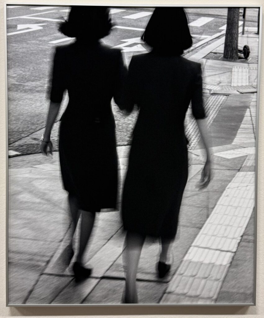 Sarah Van Rij. Atlas des Echos