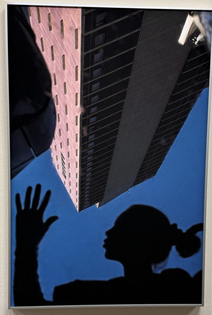 Sarah Van Rij. Atlas des Echos