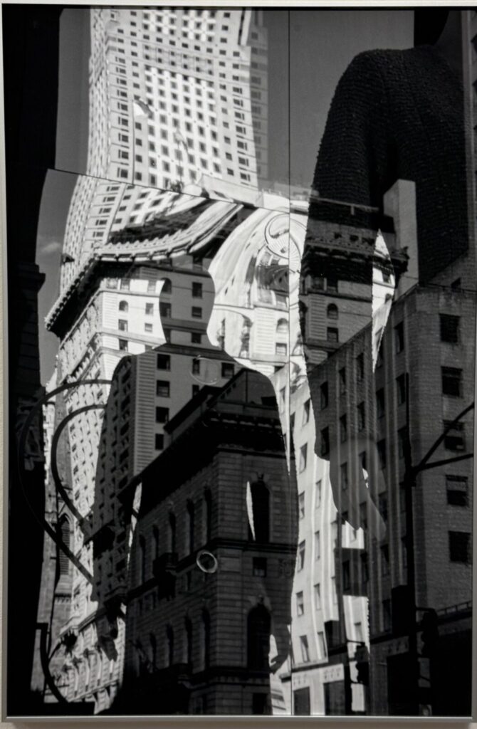 Sarah Van Rij. Atlas des Echos