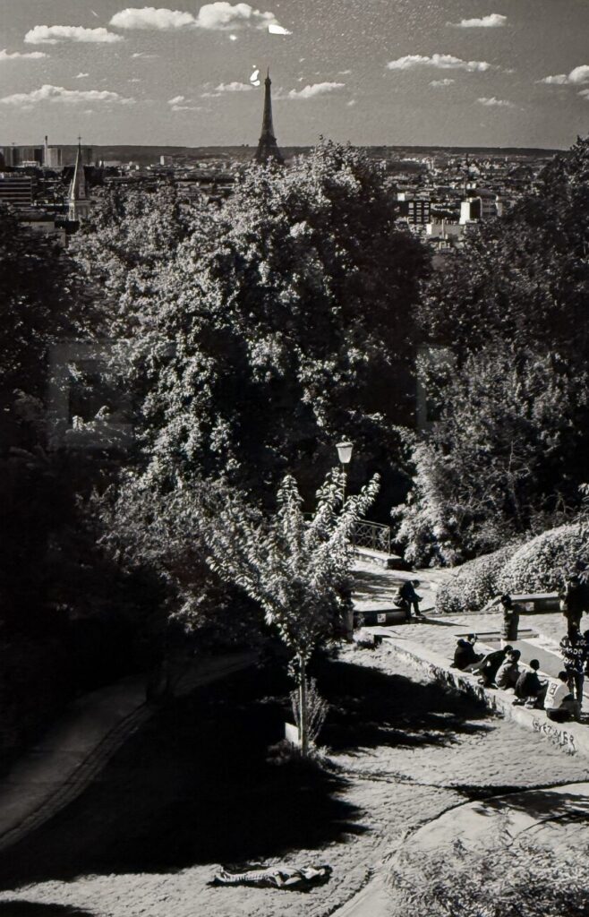 Salgado