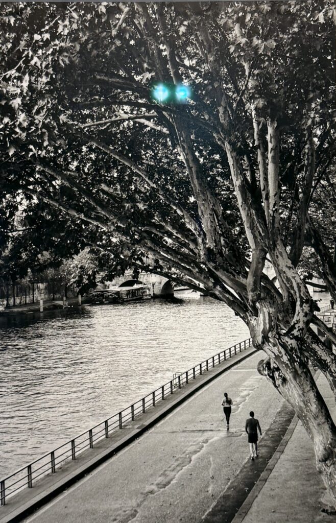 Salgado