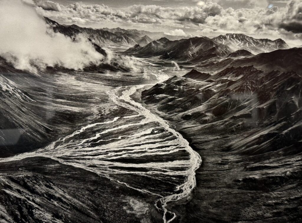 Salgado