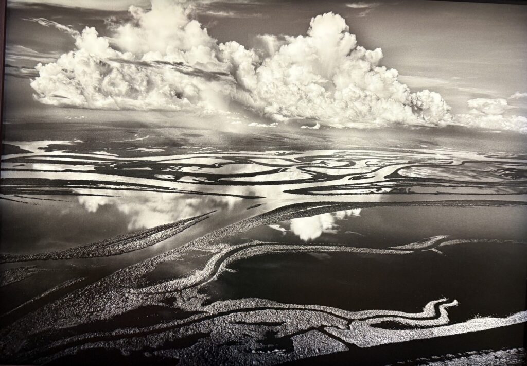 Salgado