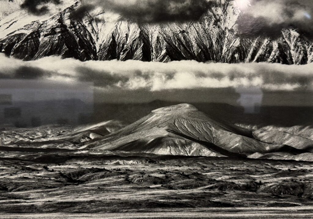 Salgado