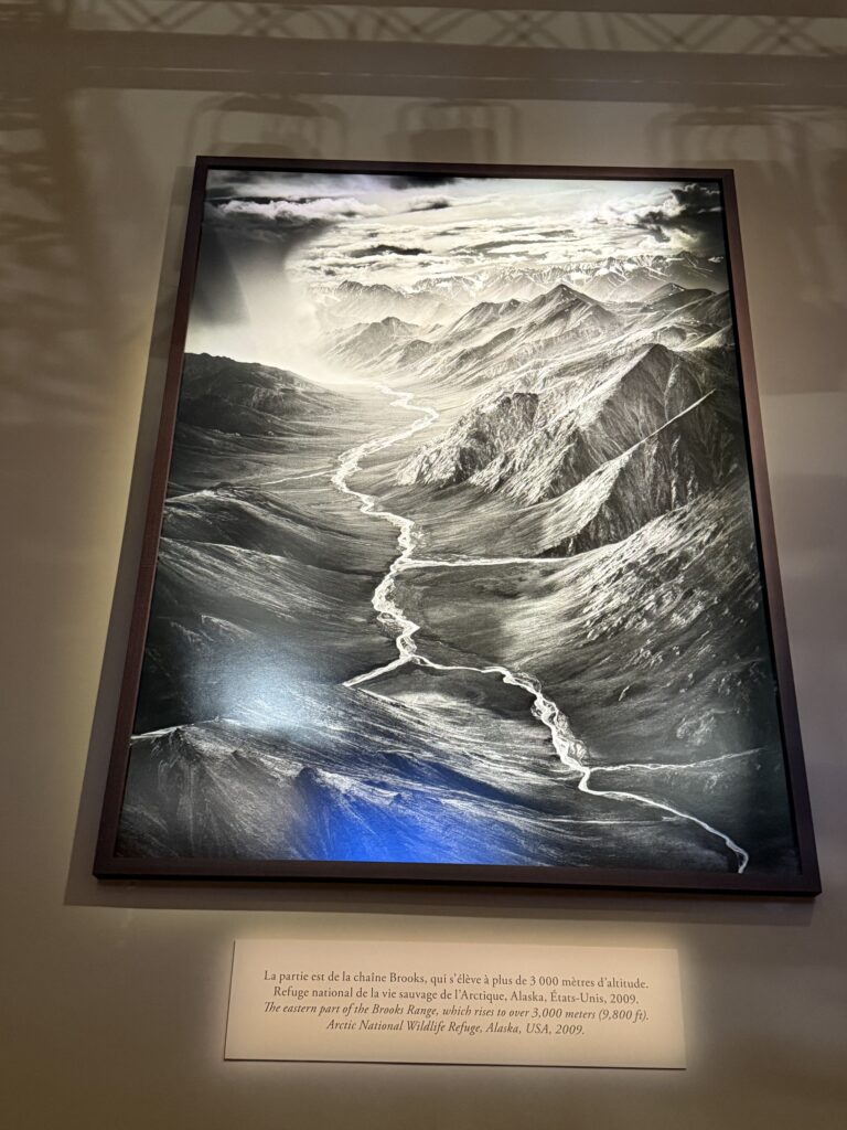 Salgado