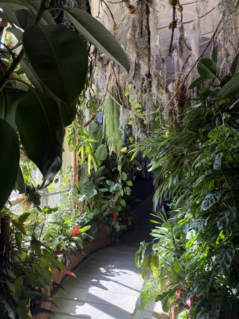 Setting of the exhibition